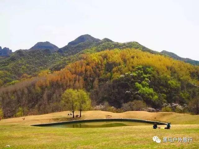 曲靖一老人摔伤入院发现血小板异常减少，医生提醒：这些症状要高度关注